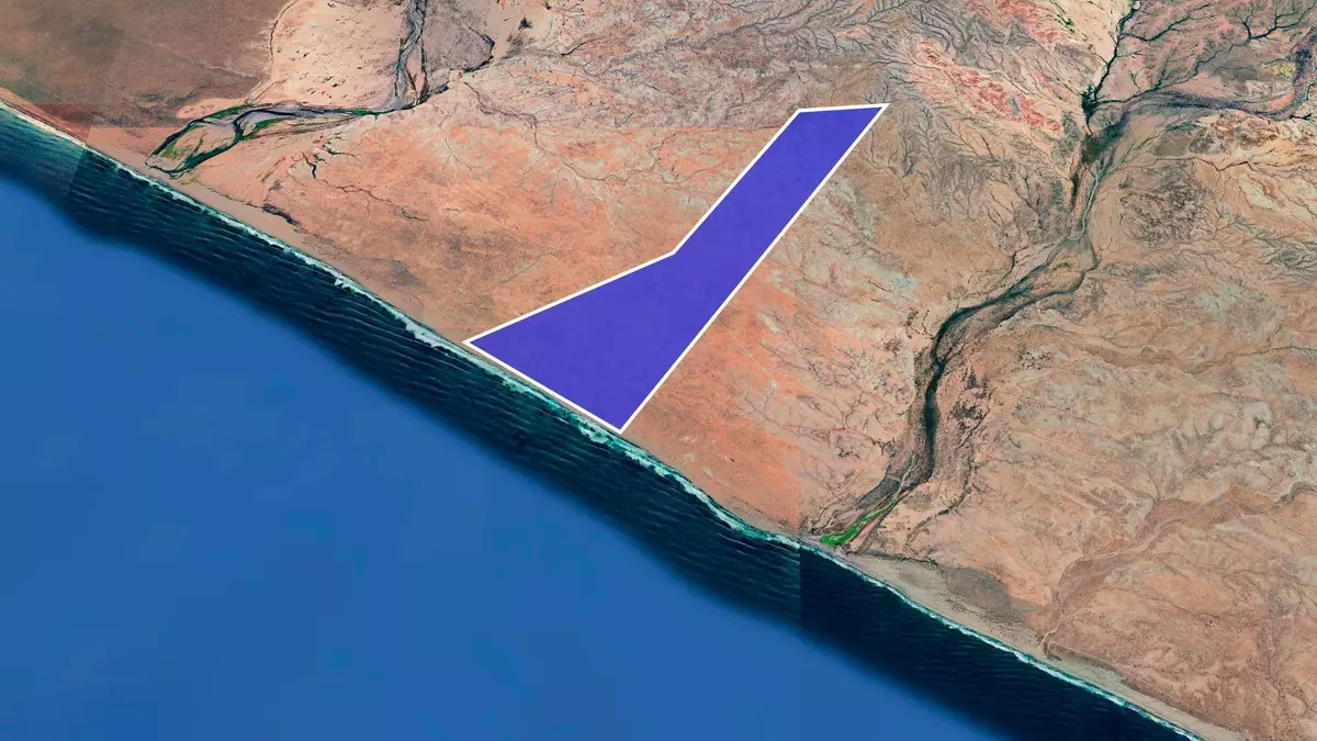 Pacific, Baja,#Flor de California 5