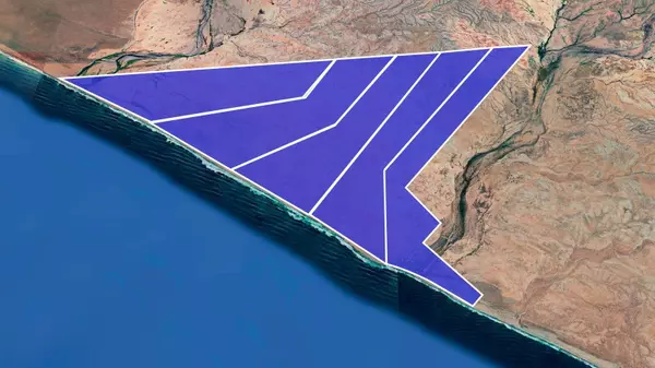 Pacific, Baja,#Flor de California 7