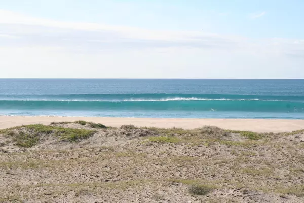 Pacific, Baja,#Flor de California 7