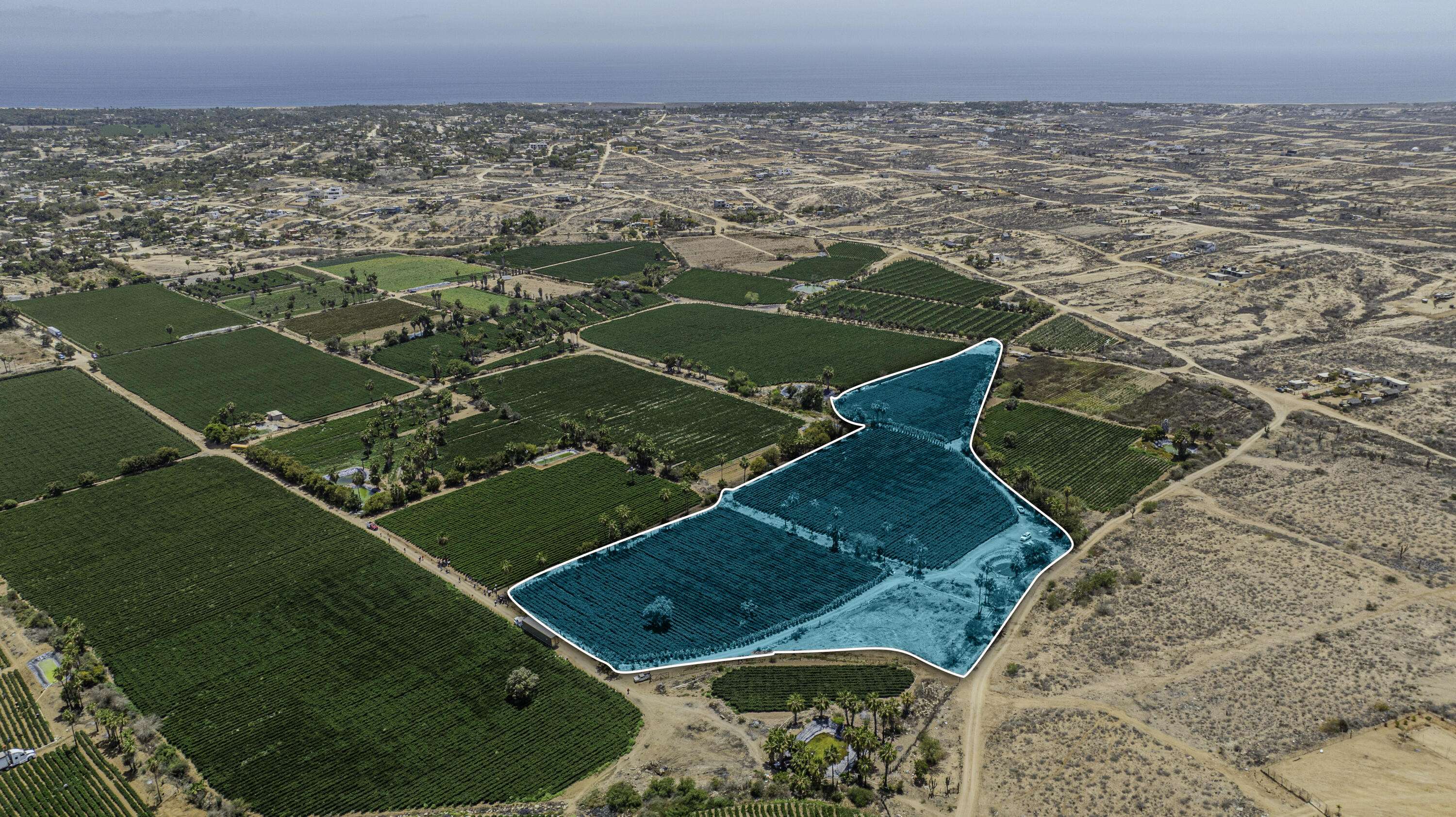 La Paz, Baja,#Rare Gem: Lush Farmland