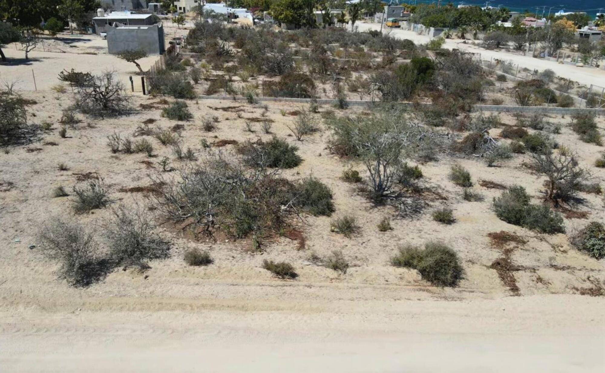#Sargento Land, La Paz, Baja