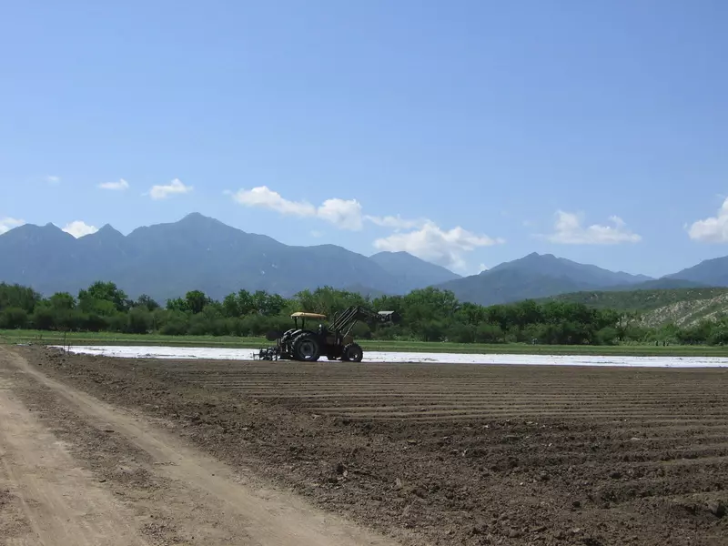 S/N CAMINO A MATANCITAS #DC ORGANICS 11, East Cape, Baja