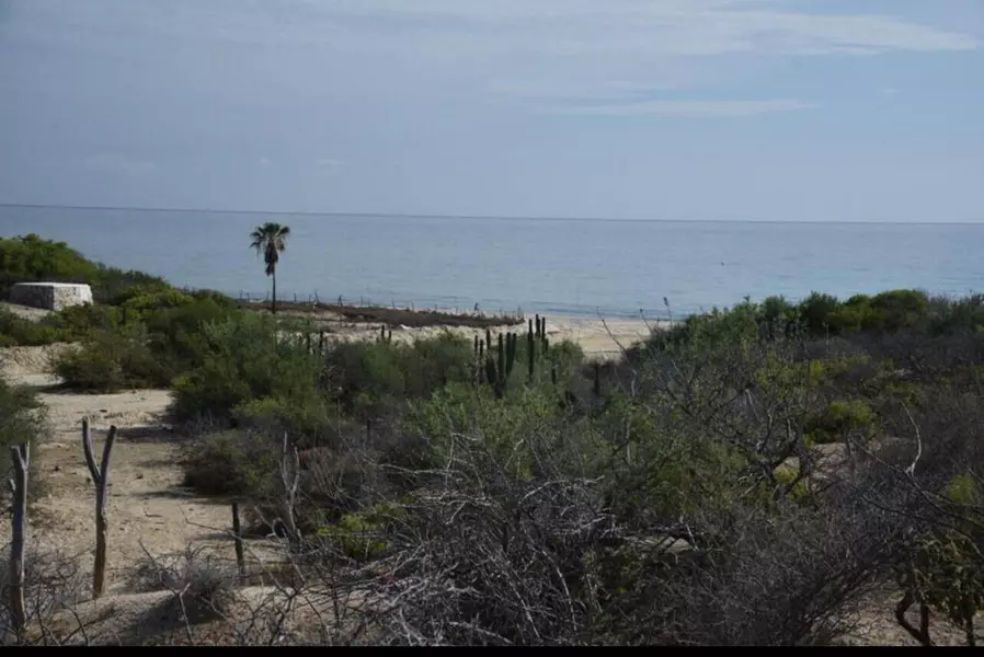 #Jeff's Large Ocean View Lot, East Cape, Baja