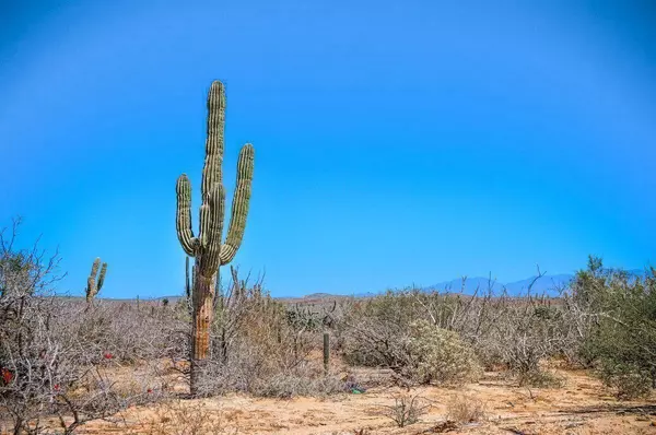Ejido Meliton Albanez #Terreno en Lomas de Baturi, La Paz, Baja