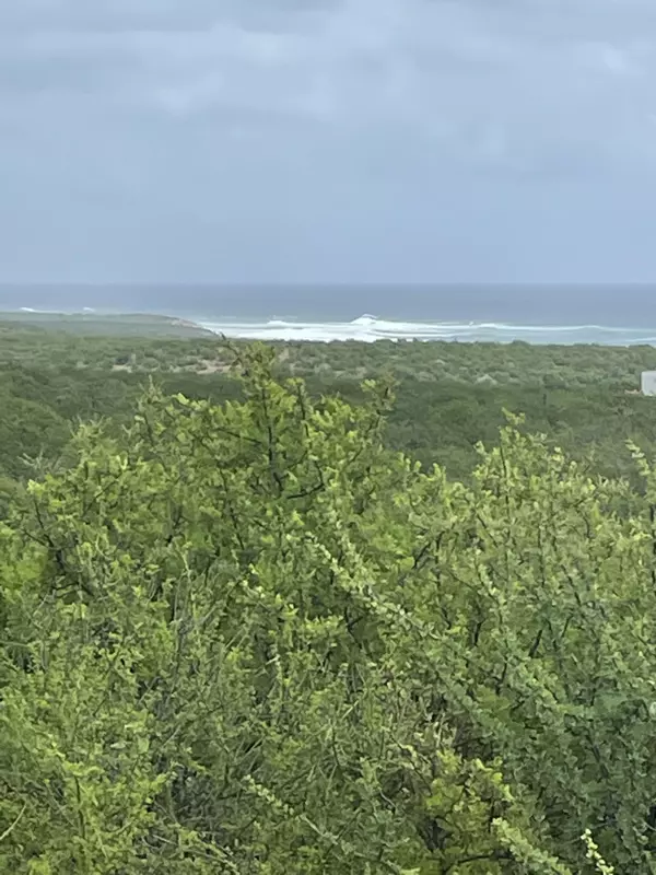 East Cape, Baja,Lot E Camino Cabo Este #Bocca Del Salado