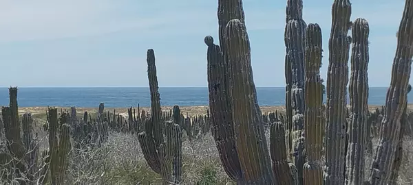 Pacific, Baja,s/n Camino Las Playitas n/a #3rd Tier Playitas Oceanfront