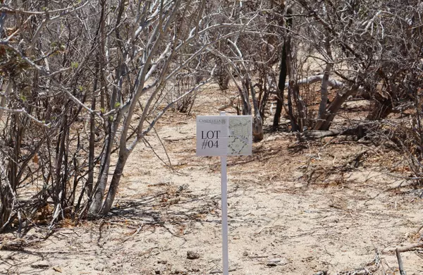 #Candelilla Lot 4, East Cape, Baja