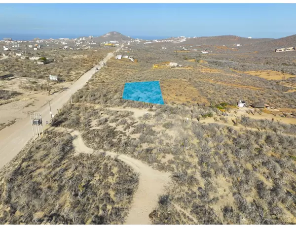 Pacific, Baja,#Cerritos Dreaming