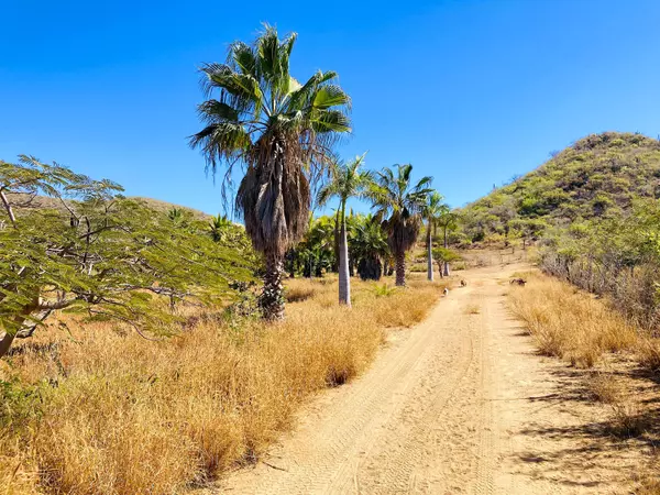 Pacific, Baja,Pescadero Huertas #Finca David