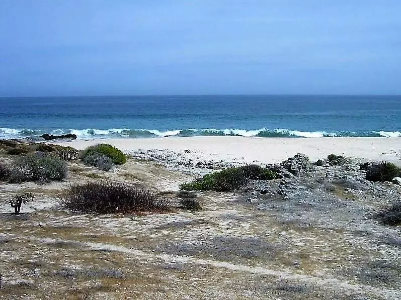 #Costa de Oro  Lot 61, East Cape, Baja