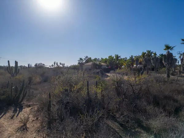 Pacific, Baja,#Pescadero Cactus Dream Lot
