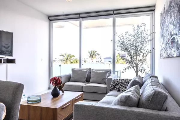 Cabo San Lucas, Baja,#Fragata