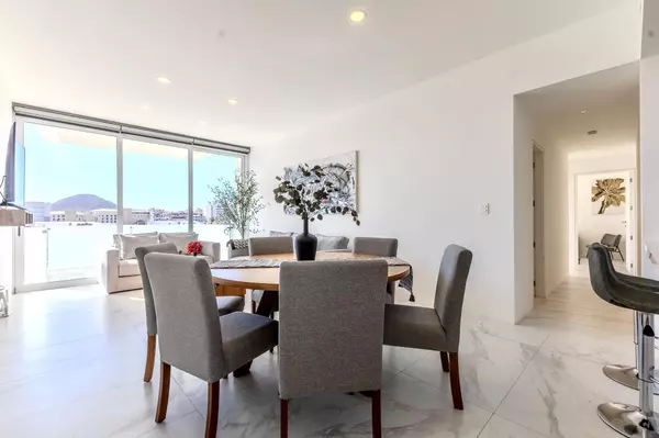 Cabo San Lucas, Baja,#Fragata