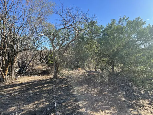 La Paz, Baja,SN CALLE CHUREA #LOT 39