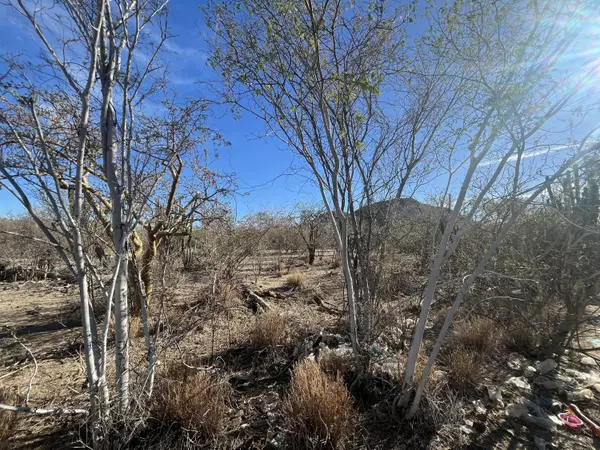 La Paz, Baja,SN CALLE CHUREA #LOT 39