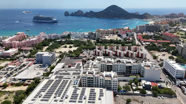 Cabo San Lucas, Baja,#Marea Pelicano