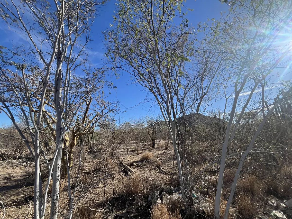 La Paz, Baja,SN CALLE CHUREA #LOT 38