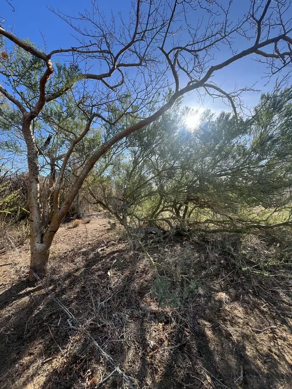 La Paz, Baja,SN CALLE CHUREA #LOT 36