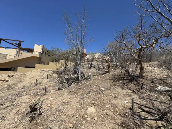 Cabo Corridor, Baja,Lot 14 El Tezal