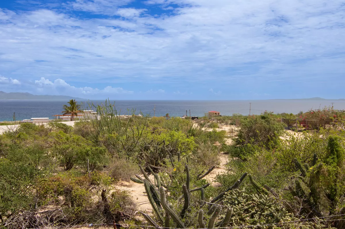 La Paz, Baja,Calle Calamar #Masubi Lot 2