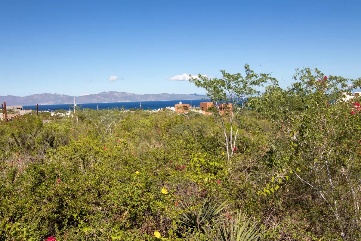 La Paz, Baja,Isla Natividad #Mar Azul Lot 1