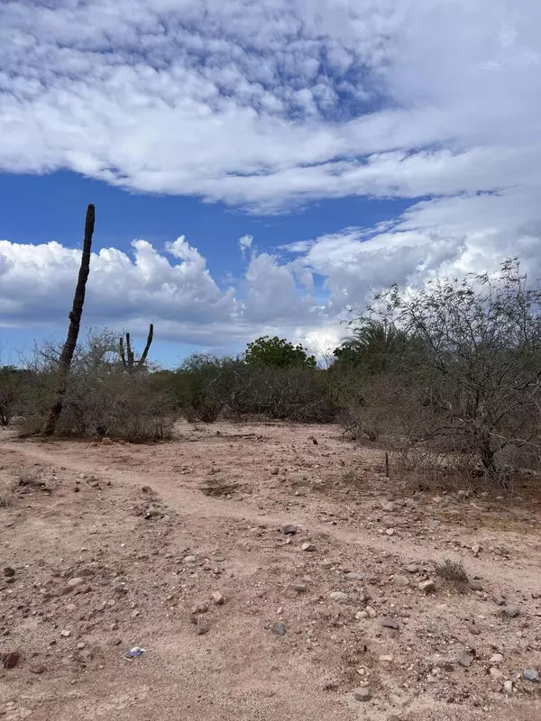 La Paz, Baja,Calle 11 #Lot Palo Fierro