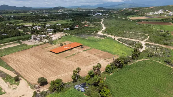 Pacific, Baja,#Strawberry Fields #3