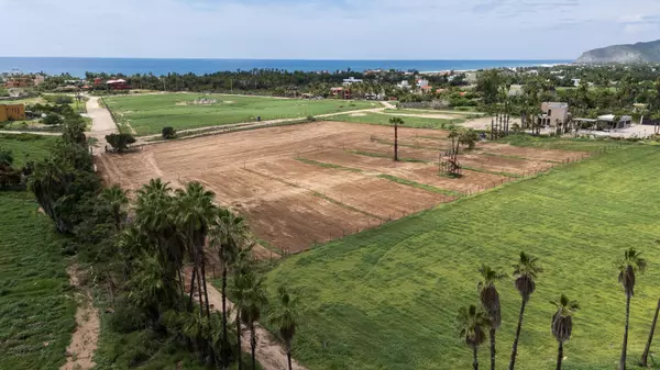 Pacific, Baja,#Strawberry Fields #5
