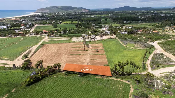 Pacific, Baja,#Strawberry Fields #7