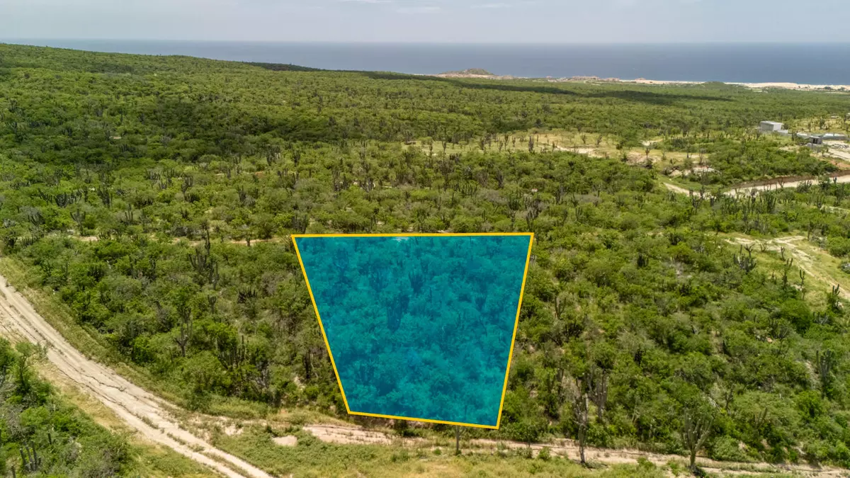 Cabo San Lucas, Baja,Mangle #Lote 24 E