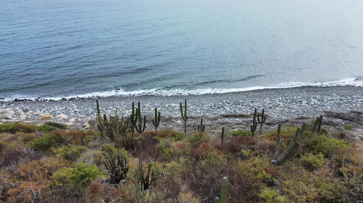 East Cape, Baja,#Lomas del Brasilar Beachfront