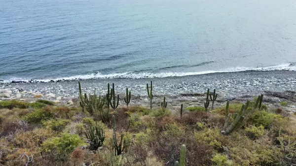 East Cape, Baja,#Lomas del Brasilar Beachfront