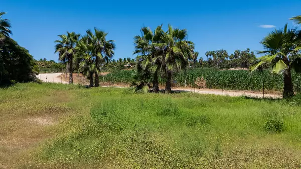 Pacific, Baja,#Lote 2 Palmas