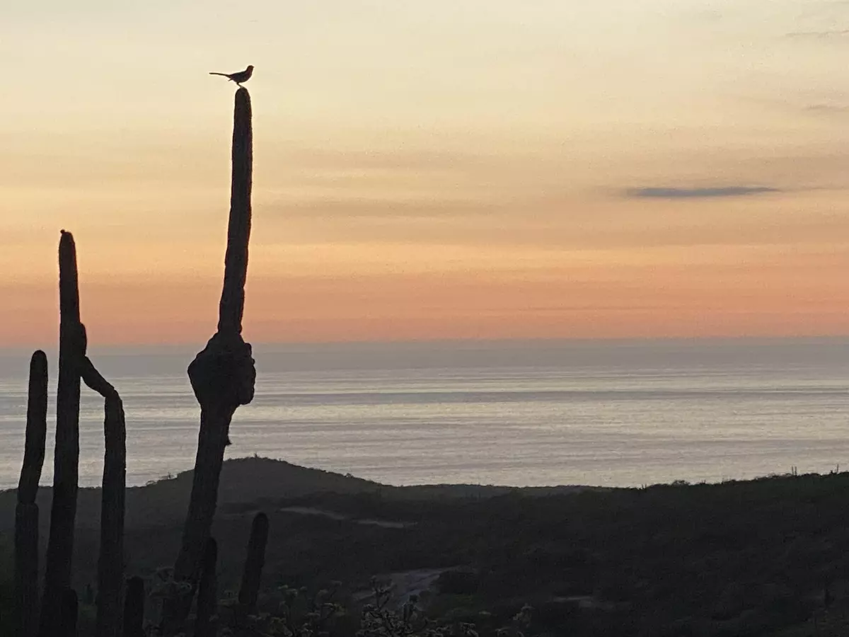 Pacific, Baja,#Rolling Hills M29 L12