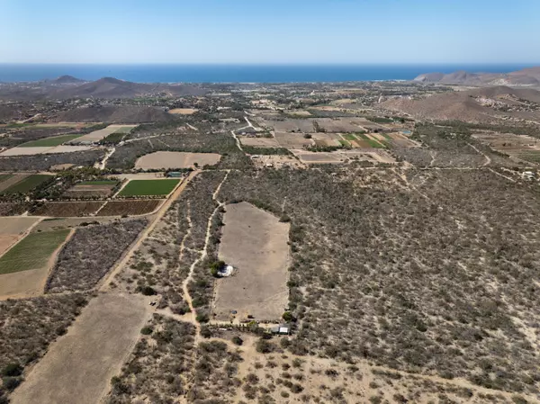 Pacific, Baja,#San Simon 2