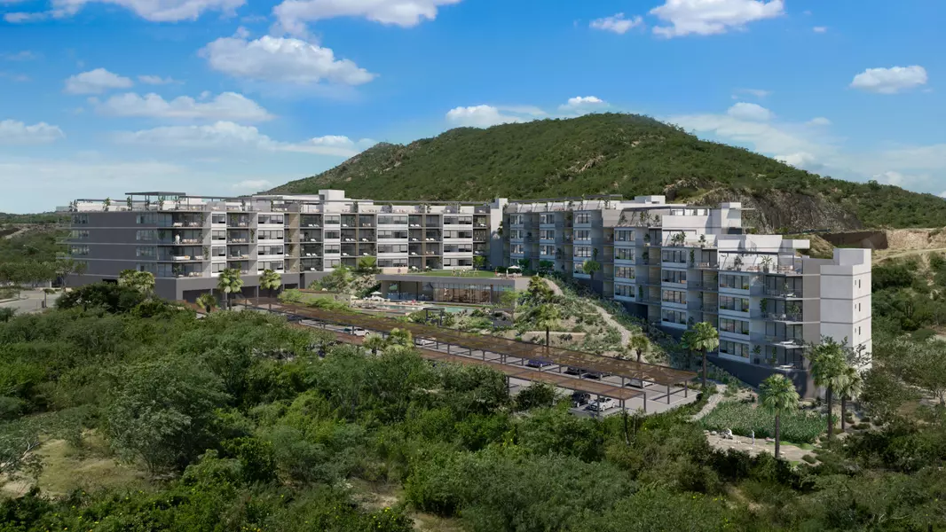 #VITAI, San Jose Del Cabo, Baja