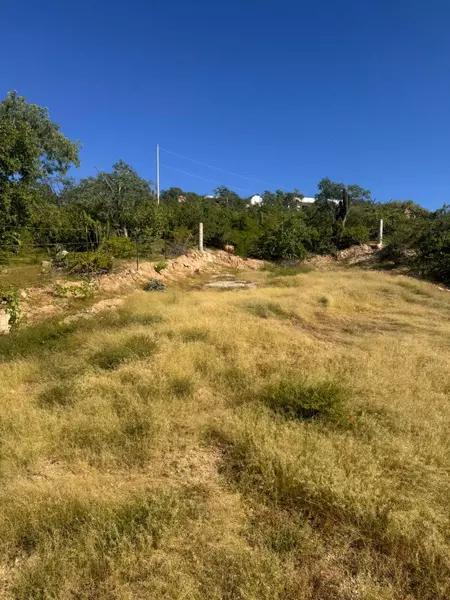 Mza N Oscar VillaseA+/-or Meza (CALLE) Lot 45 #Lote Claudia, San Jose Del Cabo, Baja