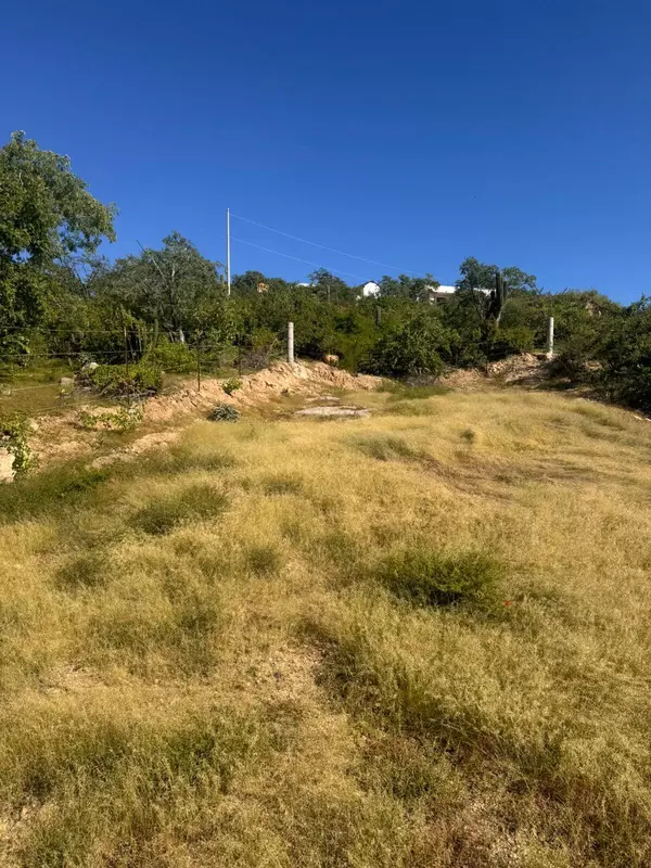 Mza N Oscar VillaseA+/-or Meza (CALLE) Lot 45 #Lote Claudia, San Jose Del Cabo, Baja