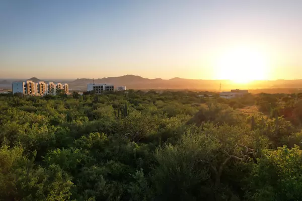 Parcela El Tezal 238mZ6 P1/3 #SANTOSCOVA LOT, Cabo Corridor, Baja