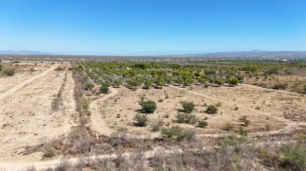 San Jose Del Cabo, Baja,Carr. Transpeninsular #High Traffic Lot