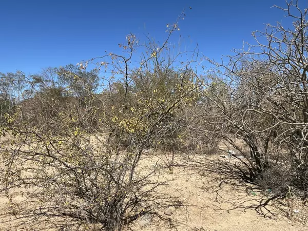 La Paz, Baja,SN CALLE CALAFIA #LOT 28