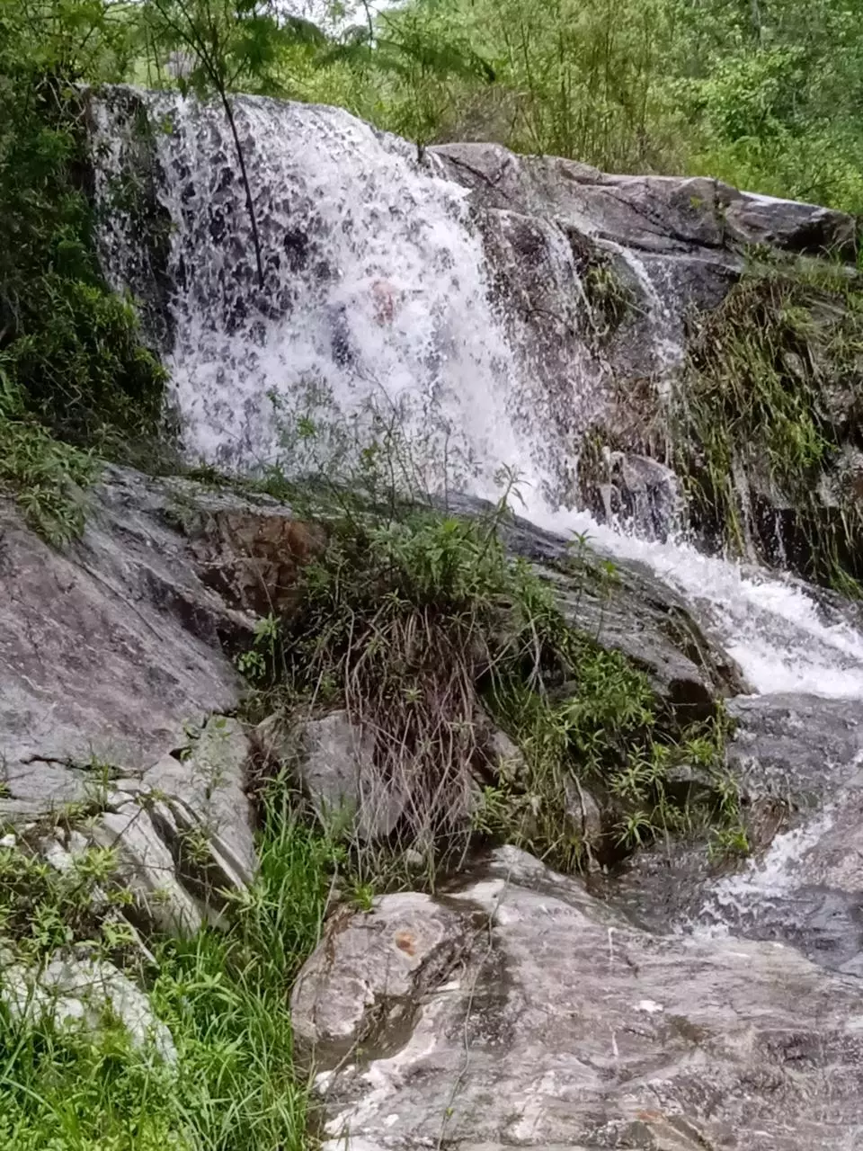 Pacific, Baja,0016 EL MAUTAL DEL PALO #FREE SKY