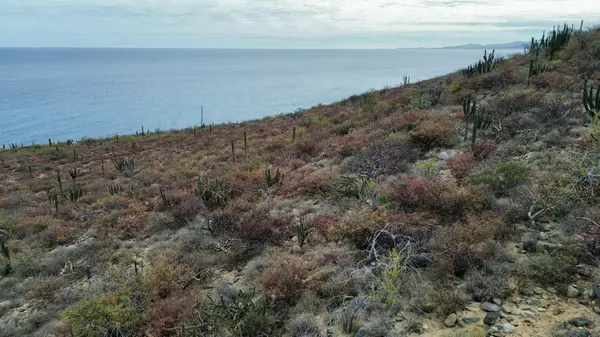 East Cape, Baja,#Lomas del Brasilar L7
