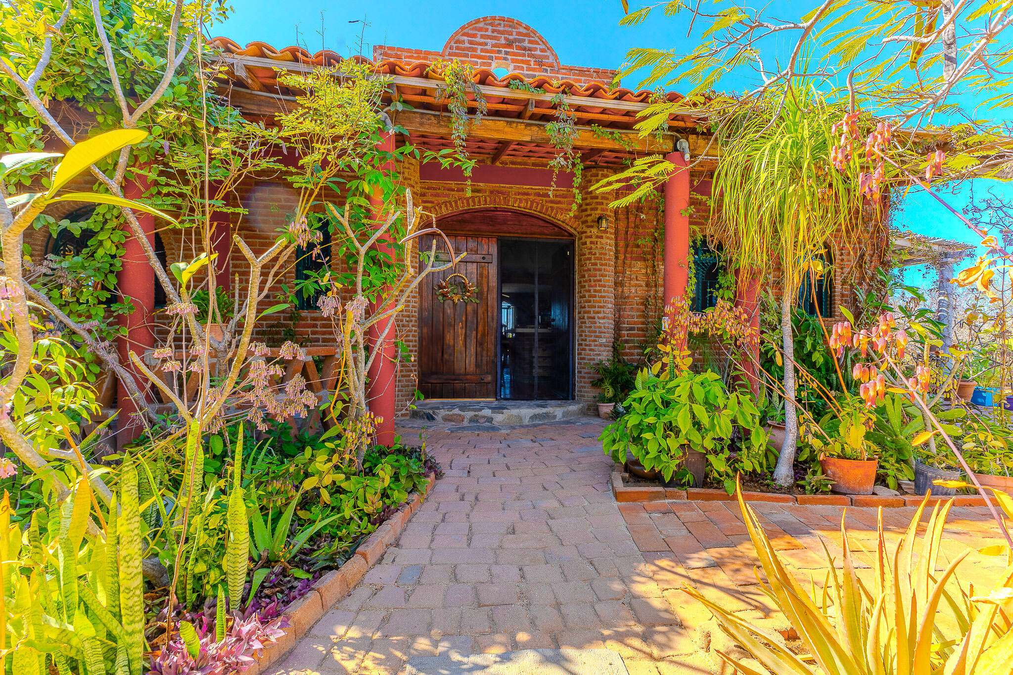 Pacific, Baja,Oasis Pacifica