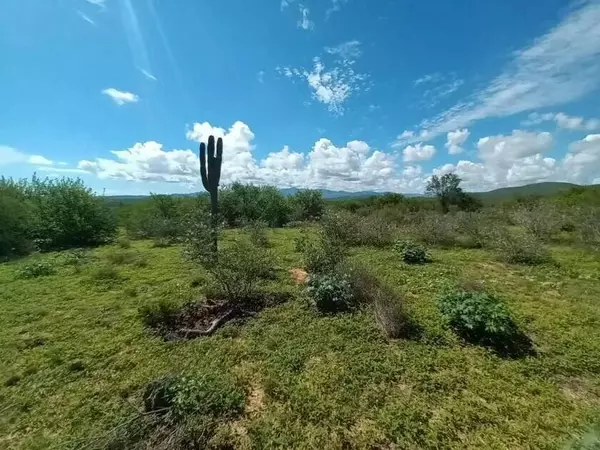 East Cape, Baja,2B MANZANA 180 LOTE #DELICIAS LOT