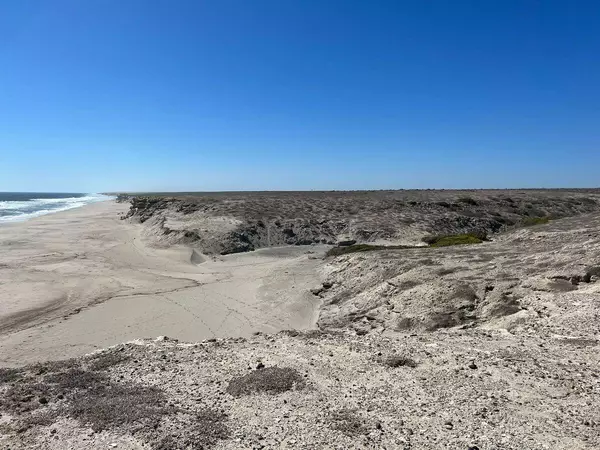 #La Ballena Big Lot, Pacific, Baja