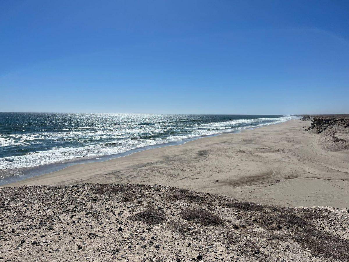 Pacific, Baja,#La Ballena Big Lot