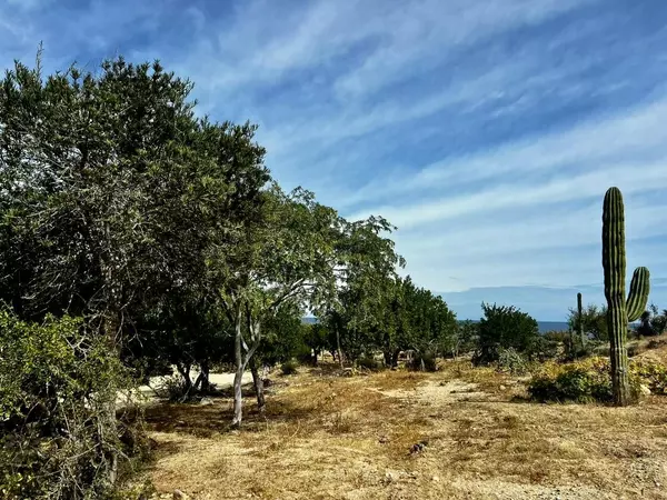 East Cape, Baja,Vista Las Brisas Los Barriles #Nueva California #2