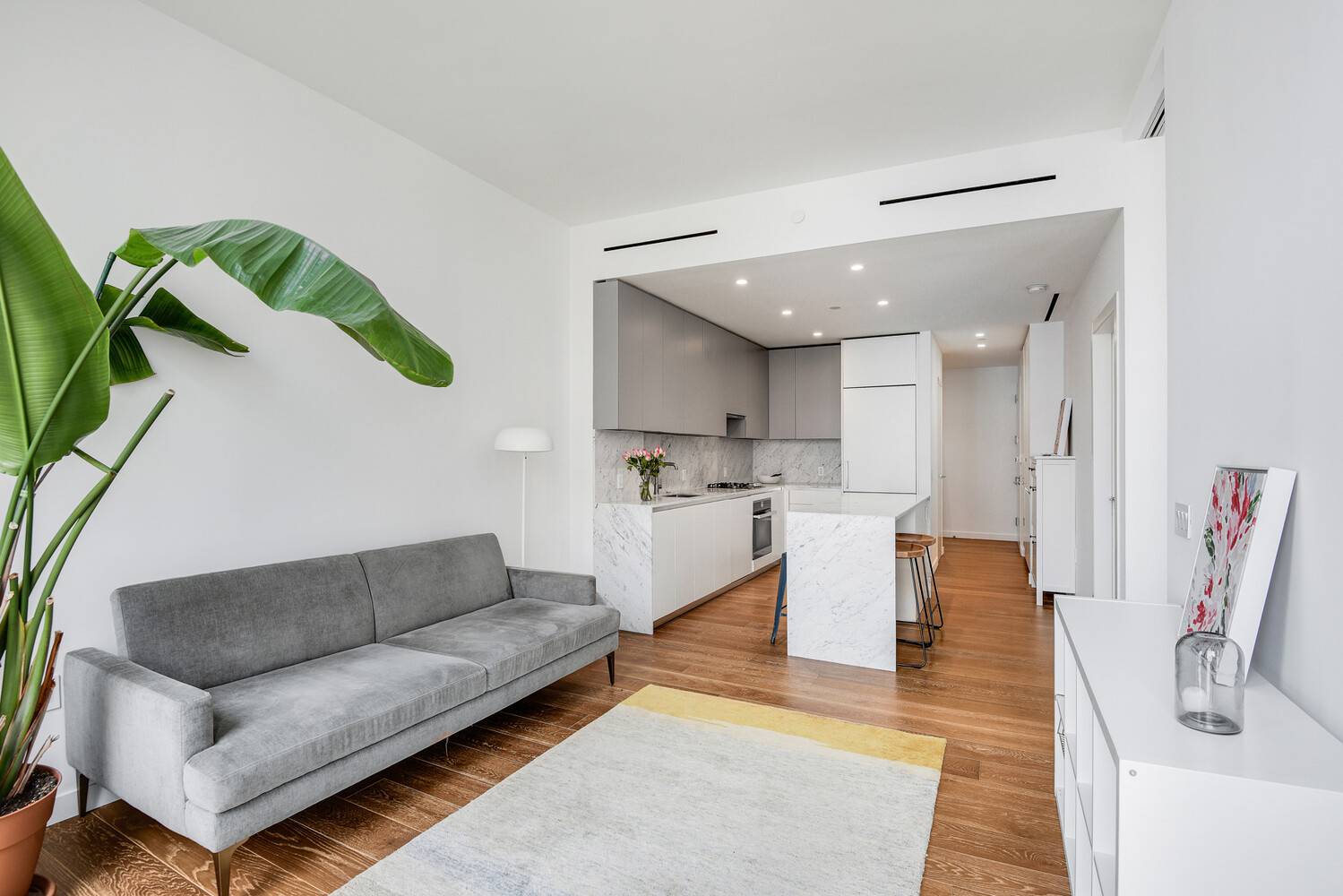 Manhattan, NY 10002,287 E HOUSTON Street #4B