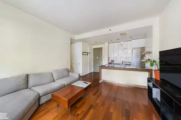 Brooklyn, NY 11249,80 METROPOLITAN Avenue #1M